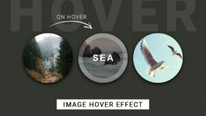 IMAGE HOVER EFFECT