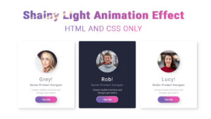 Shiny hover Animation effect with html and css